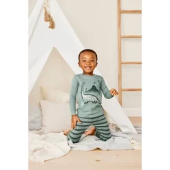 Carter's Just One You® Toddler Boys' Dinosaurs Long Sleeve Pajama Set - Green -Carter's Shop GUEST 148ec1f5 2072 45e3 be00 6495c1a79d13