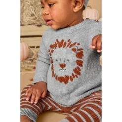 Carter's Just One You®️ Baby Boys' 3pc Lion Sweater & Bottom Set - Gray