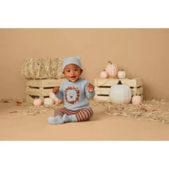 Carter's Just One You®️ Baby Boys' 3pc Lion Sweater & Bottom Set - Gray -Carter's Shop GUEST da9ab2d0 3036 4392 b9d3 4f44289a48b5